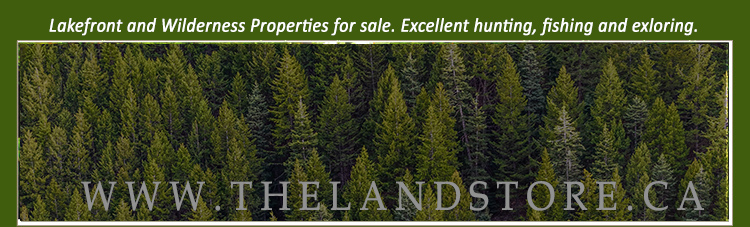properties for sale in northern ontario